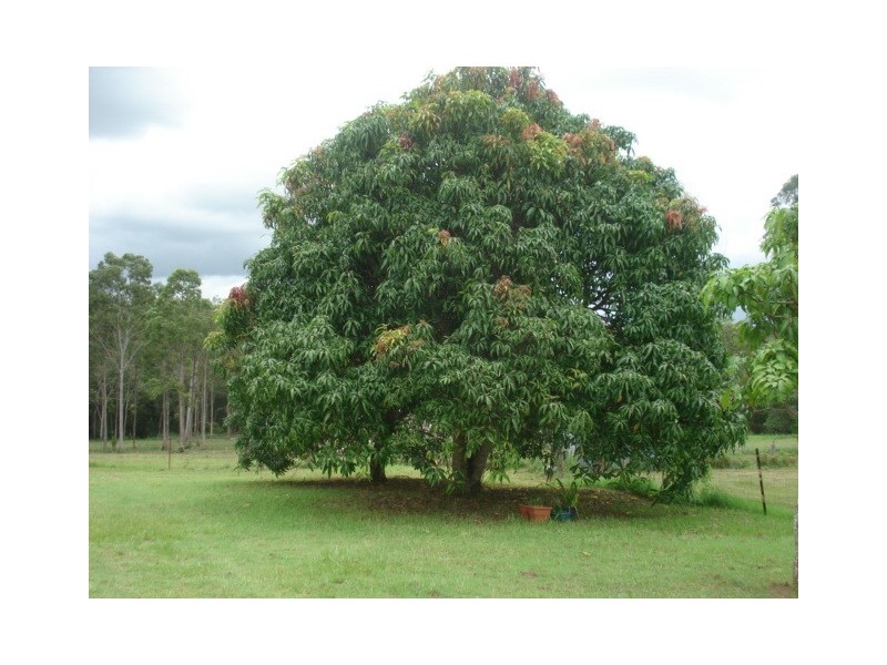 Upper Caboolture QLD 4510