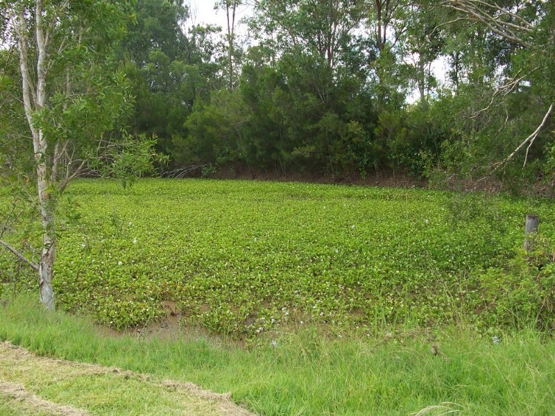Bellmere QLD 4510