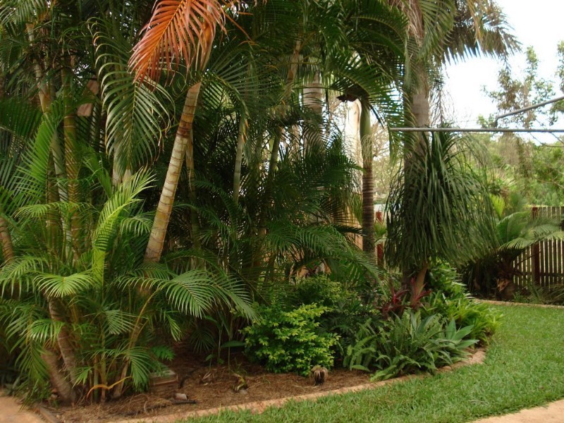 Caboolture QLD 4510