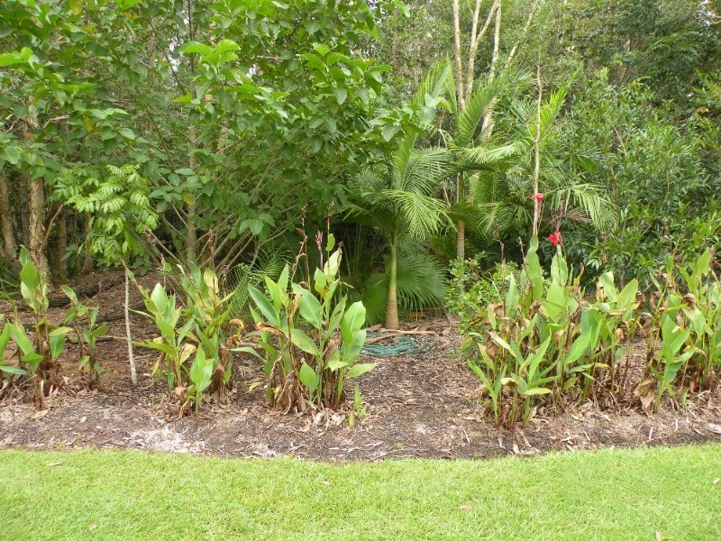 Upper Caboolture QLD 4510