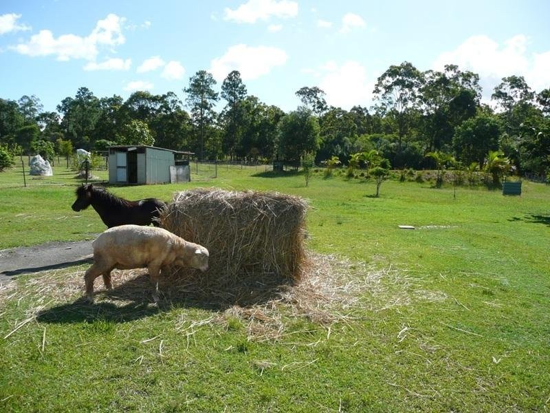 Upper Caboolture QLD 4510