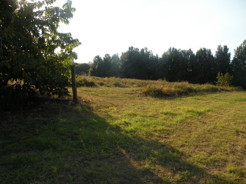 Upper Caboolture QLD 4510