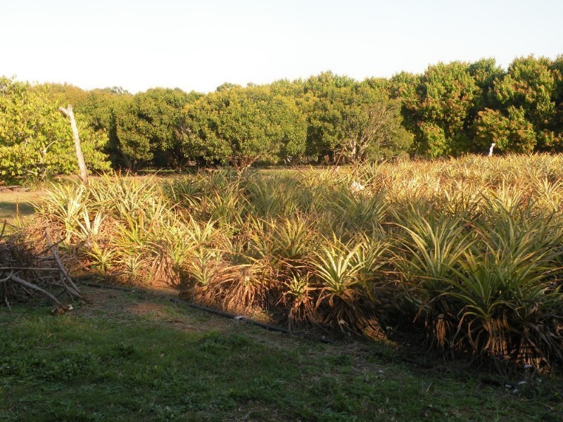 Upper Caboolture QLD 4510