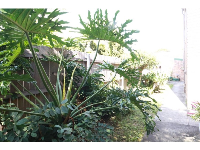 1/ 5 Constitution Road, Dulwich Hill NSW 2203