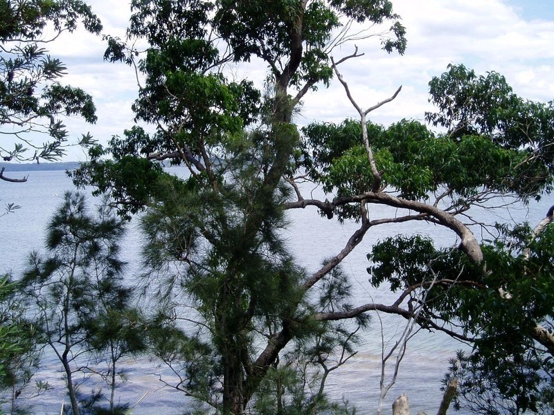 14 Greville Avenue, Sanctuary Point NSW 2540