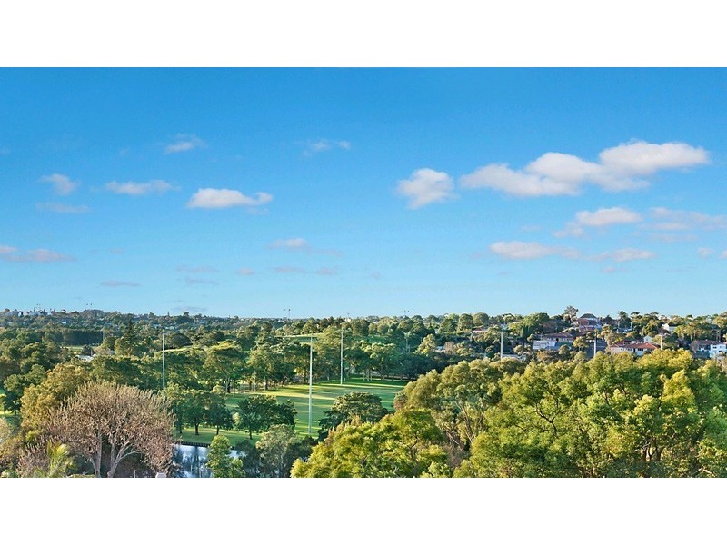 42 Homer Street, Earlwood NSW 2206