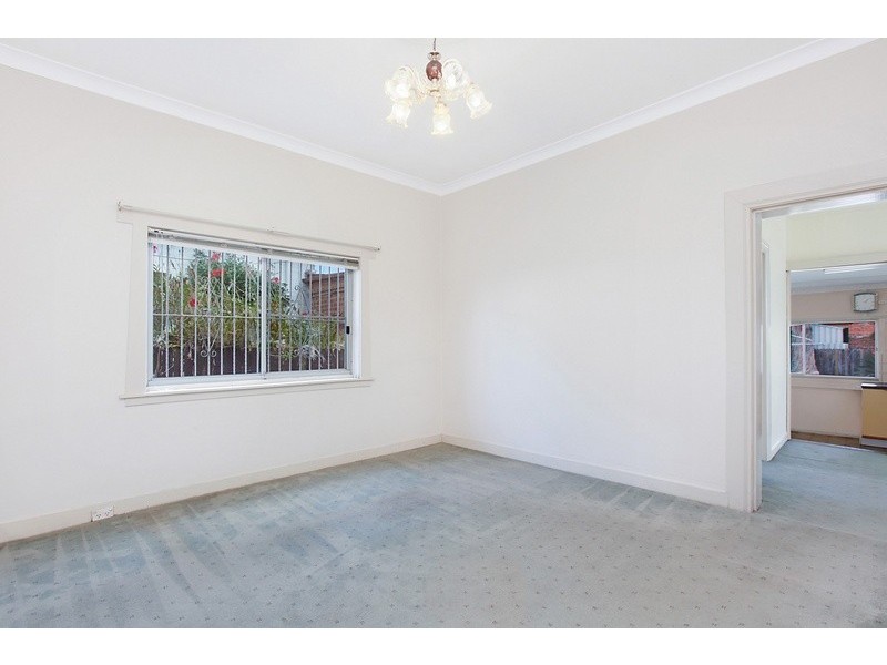 53 Holden Street, Ashfield NSW 2131