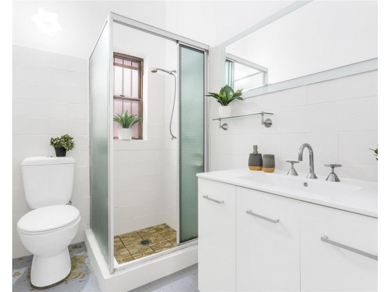 10 Carlisle Street, Ashfield NSW 2131