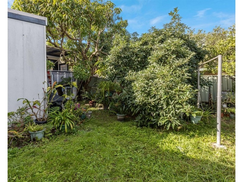 14 Watkin Street, Hurlstone Park NSW 2193