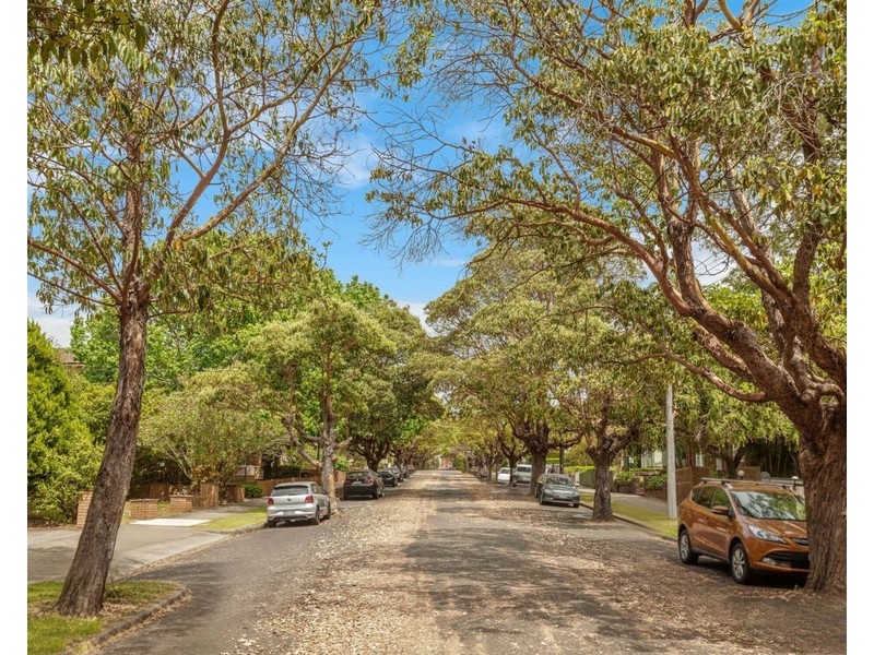 2/21 Cecil Street, Ashfield NSW 2131