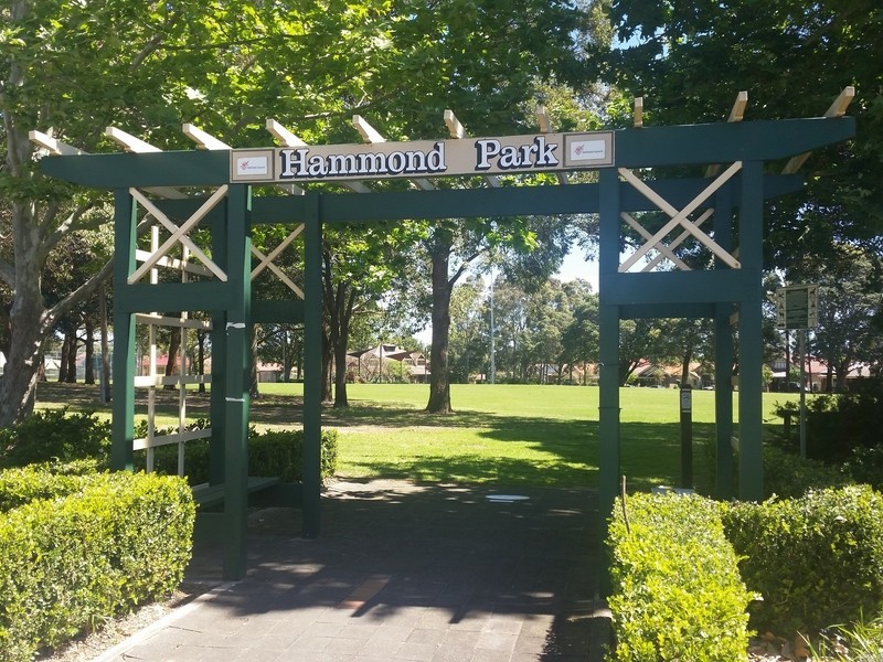 8/ 155 Frederick Street, Ashfield NSW 2131