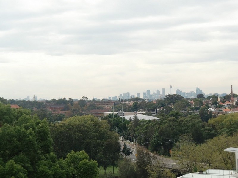 1/ 42 Homer Street, Earlwood NSW 2206