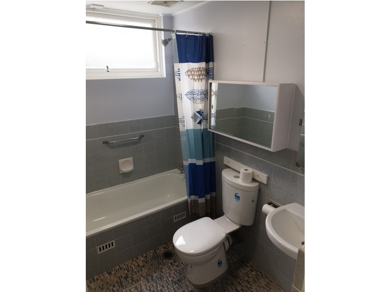 2/ 21 Shepherd Street, Ashfield NSW 2131