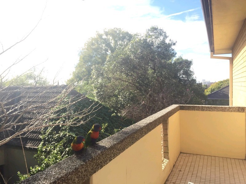 4/19 Henson Street, Summer Hill NSW 2130