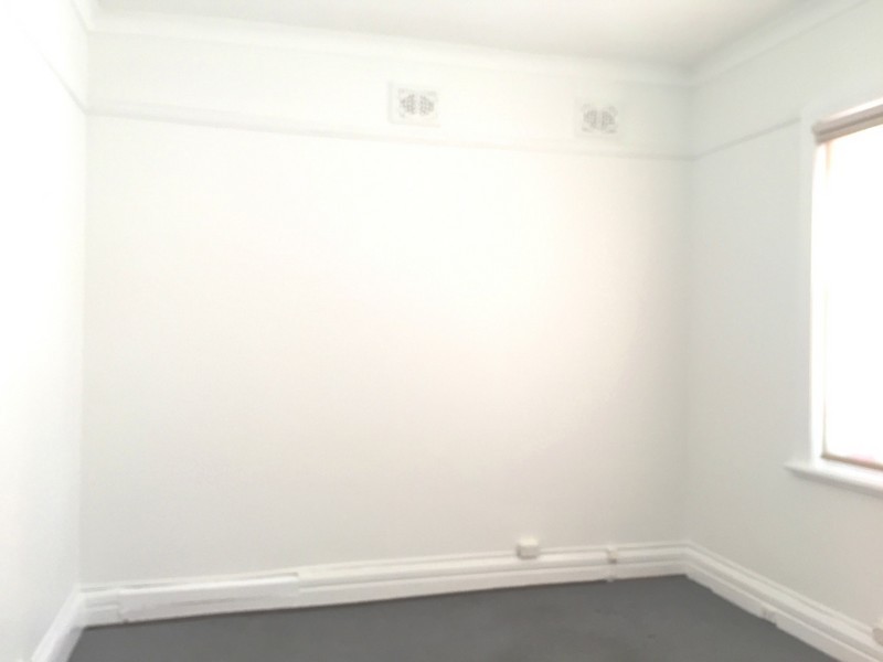 21 Hawthorne Parade, Haberfield NSW 2045