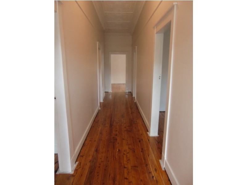 61 Bland Street, Ashfield NSW 2131