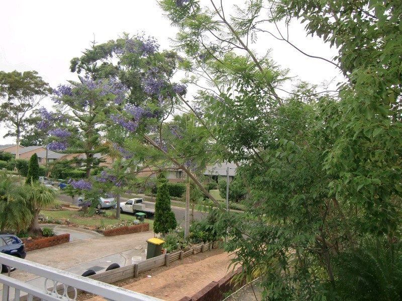 6 Pleasant Court, Carlingford NSW 2118