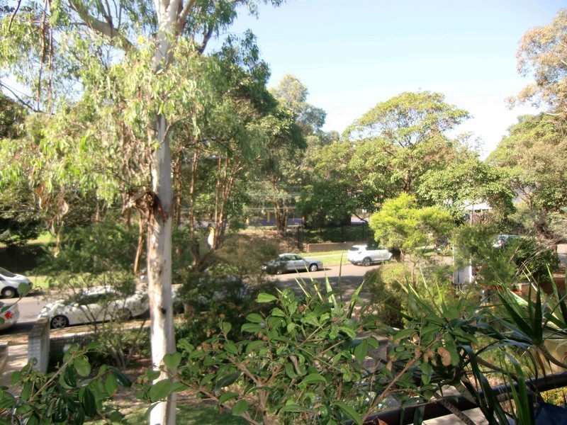 8/14 Minter Street, Canterbury NSW 2193