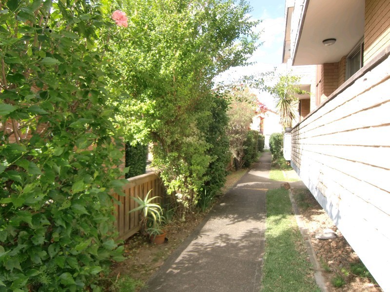 11/99 Alt Street, Ashfield NSW 2131