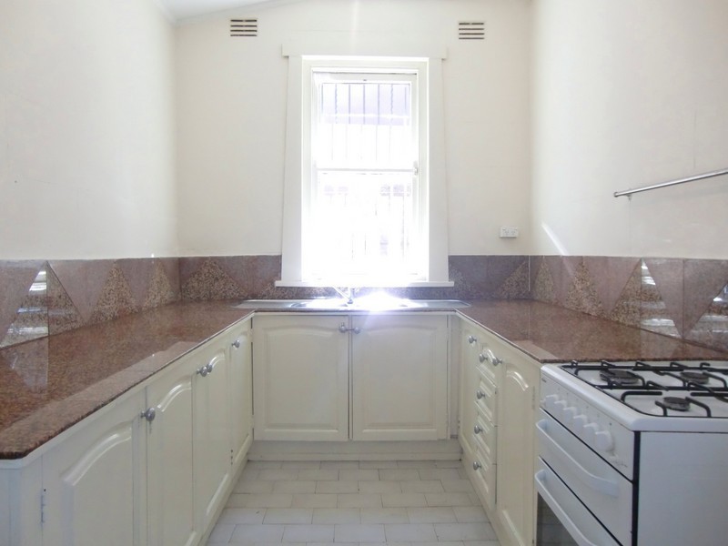 3 Holborow Street, Croydon NSW 2132