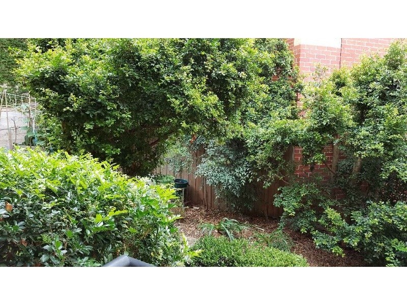 18/100 Carlton Crescent, Summer Hill NSW 2130