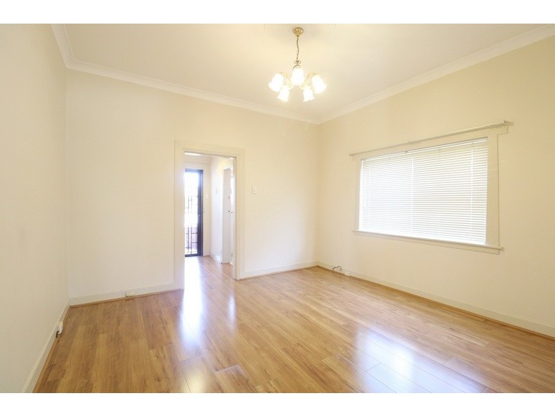 53 Holden Street, Ashfield NSW 2131