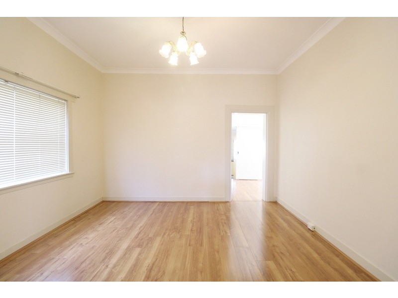 53 Holden Street, Ashfield NSW 2131