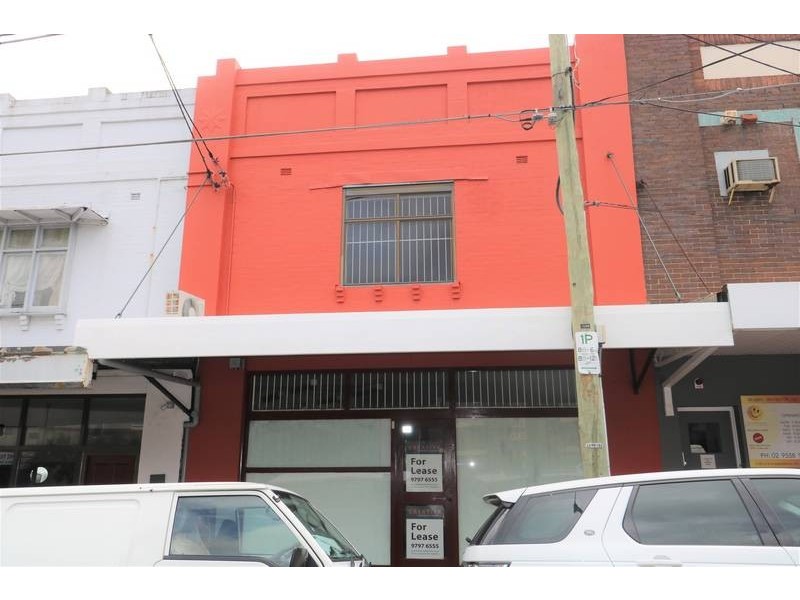 21 Crinan Street, Hurlstone Park NSW 2193