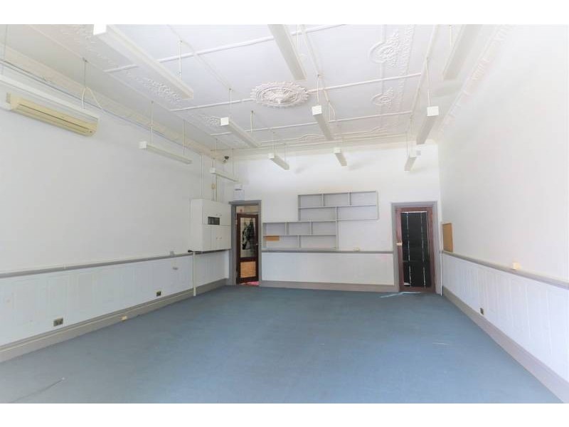 21 Crinan Street, Hurlstone Park NSW 2193