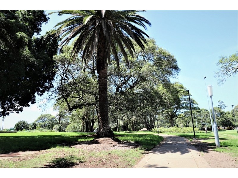 25/76 Orpington Street, Ashfield NSW 2131