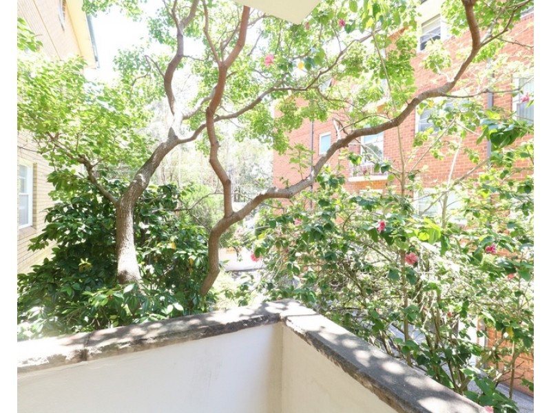 3/22-24 Park Avenue, Burwood NSW 2134