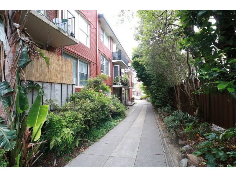 8/ 8 Webbs Avenue, Ashfield NSW 2131