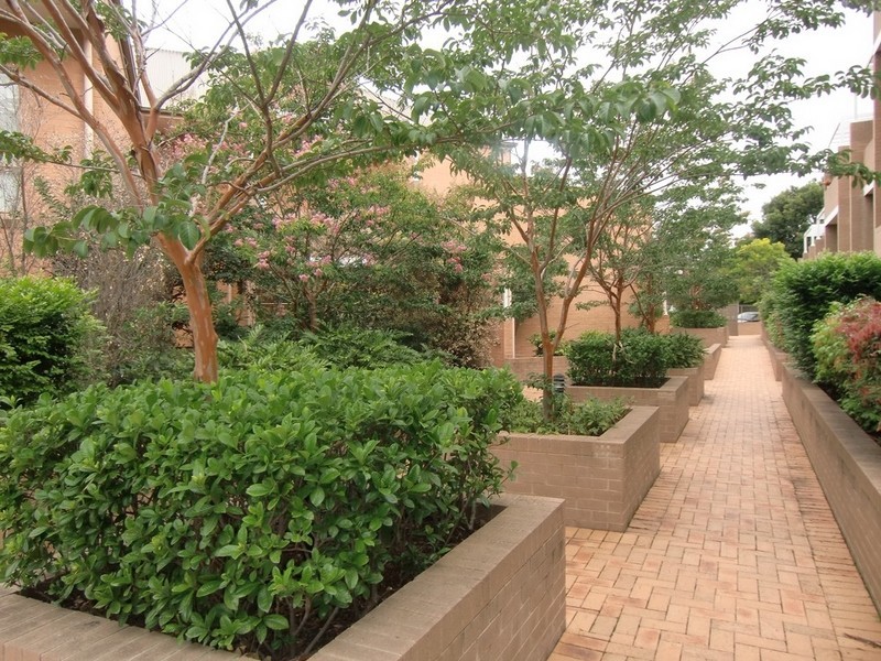 21/ 115-117 Constitution Road, Dulwich Hill NSW 2203