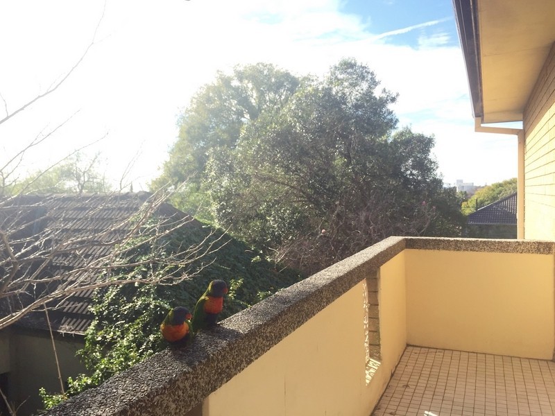 4/ 19 Henson Street, Summer Hill NSW 2130