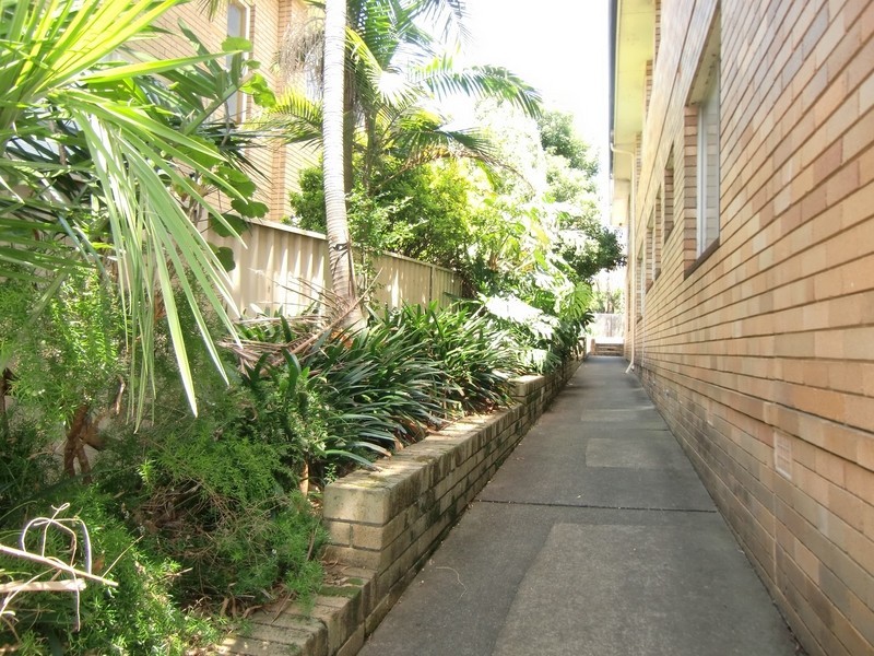 1/ 24 Palace Street, Ashfield NSW 2131