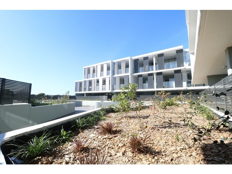 13/445 Liverpool Road, Ashfield NSW 2131