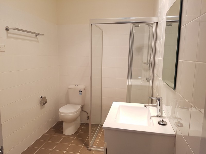 6a Alexandra Street, Ashfield NSW 2131