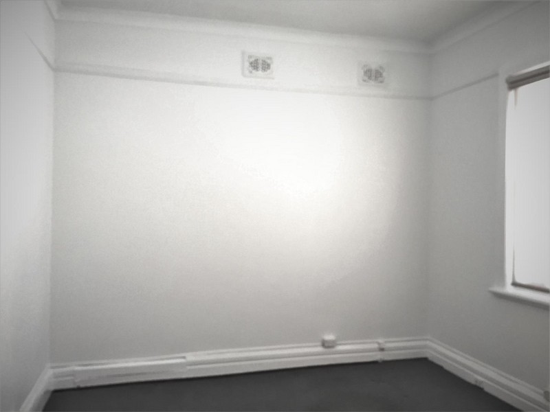 21 Hawthorne Parade, Haberfield NSW 2045