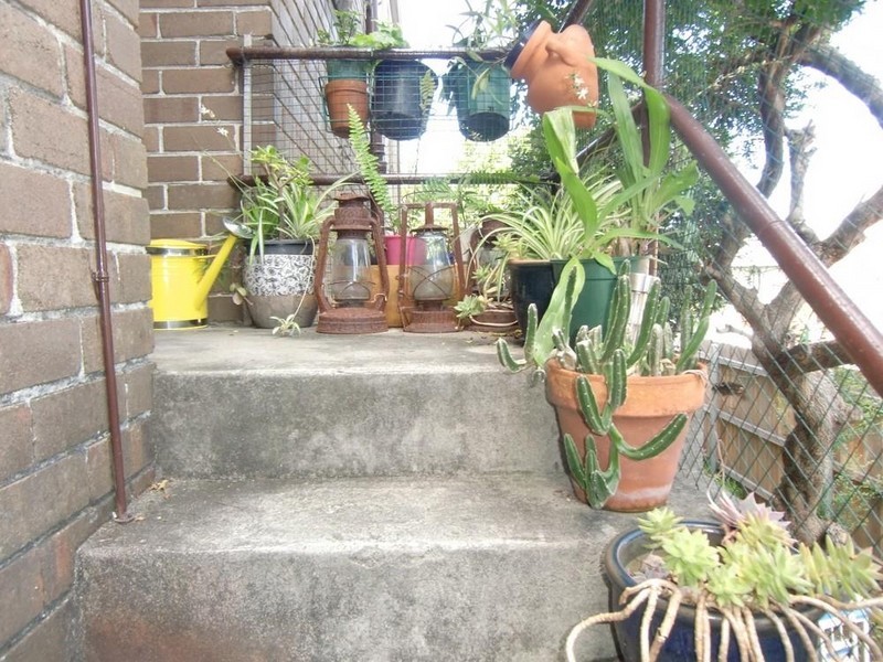 5/ 5 Constitution Road, Dulwich Hill NSW 2203