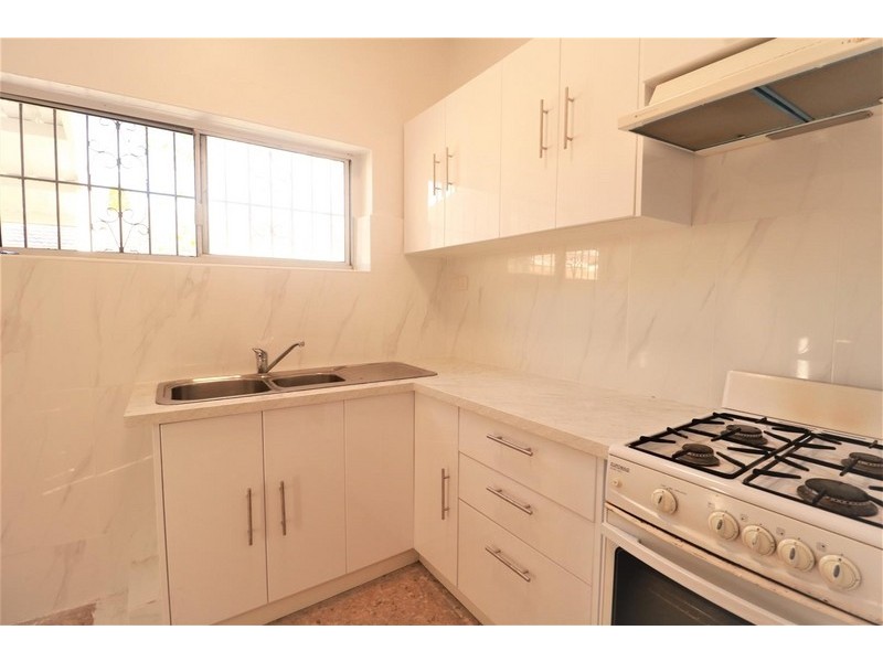 119 Milton Street, Ashfield NSW 2131