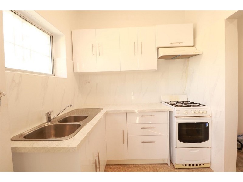 119 Milton Street, Ashfield NSW 2131