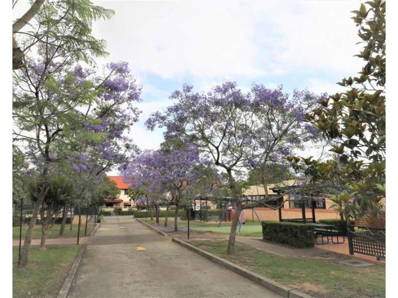 105/18-20 Knocklayde Street, Ashfield NSW 2131