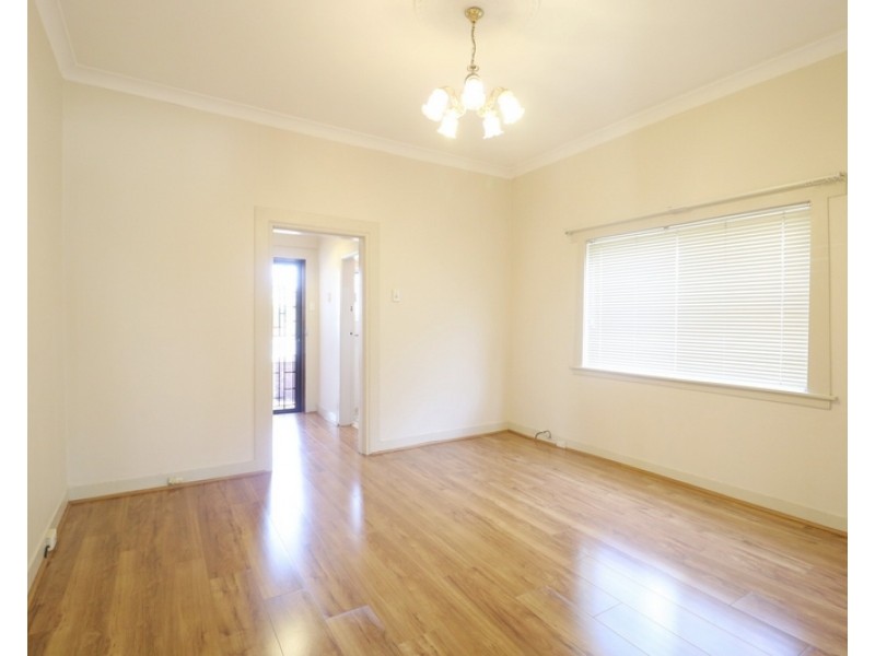 53 Holden Street, Ashfield NSW 2131
