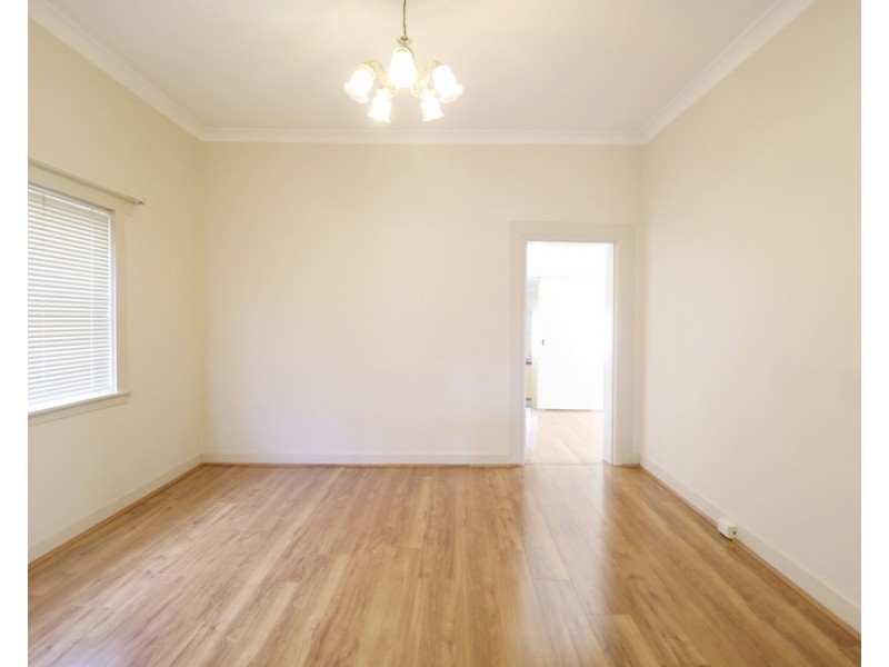 53 Holden Street, Ashfield NSW 2131