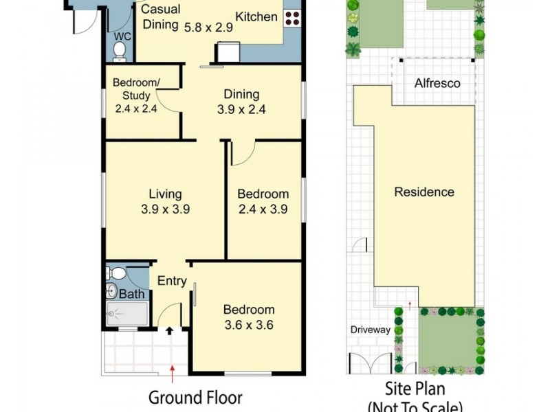 53 Holden Street, Ashfield NSW 2131