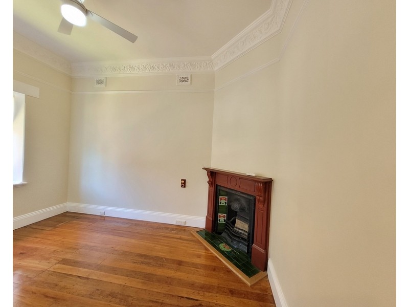 29 Watkin Street, Hurlstone Park NSW 2193