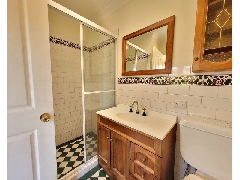 29 Watkin Street, Hurlstone Park NSW 2193