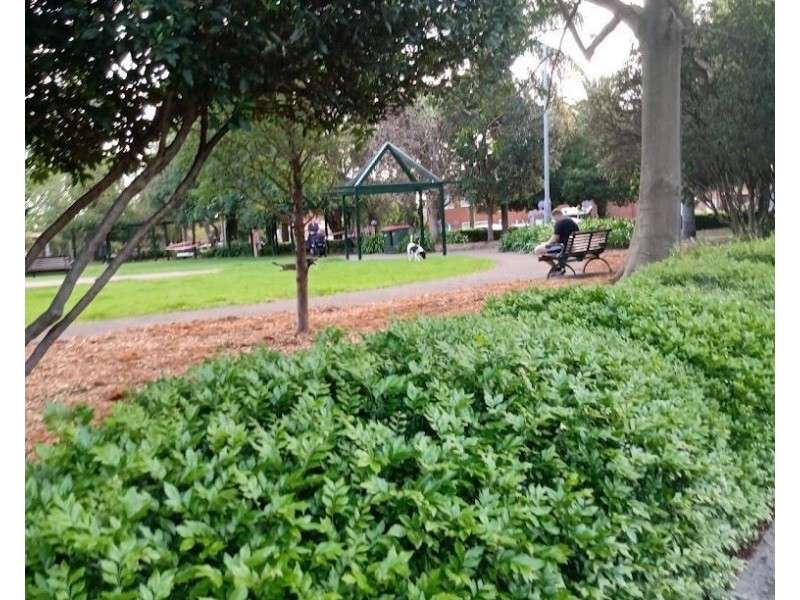 2/8 Tintern Road, Ashfield NSW 2131