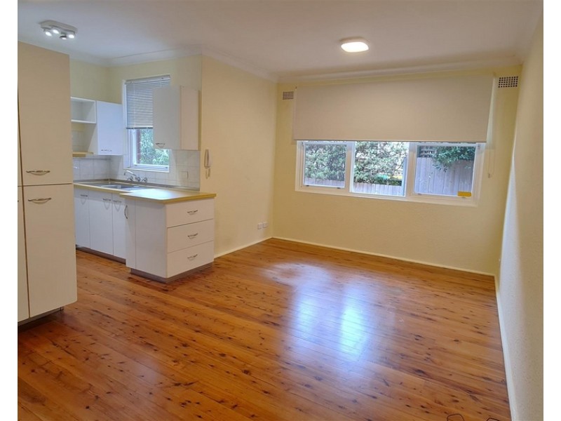 2/ 21 Shepherd Street, Ashfield NSW 2131