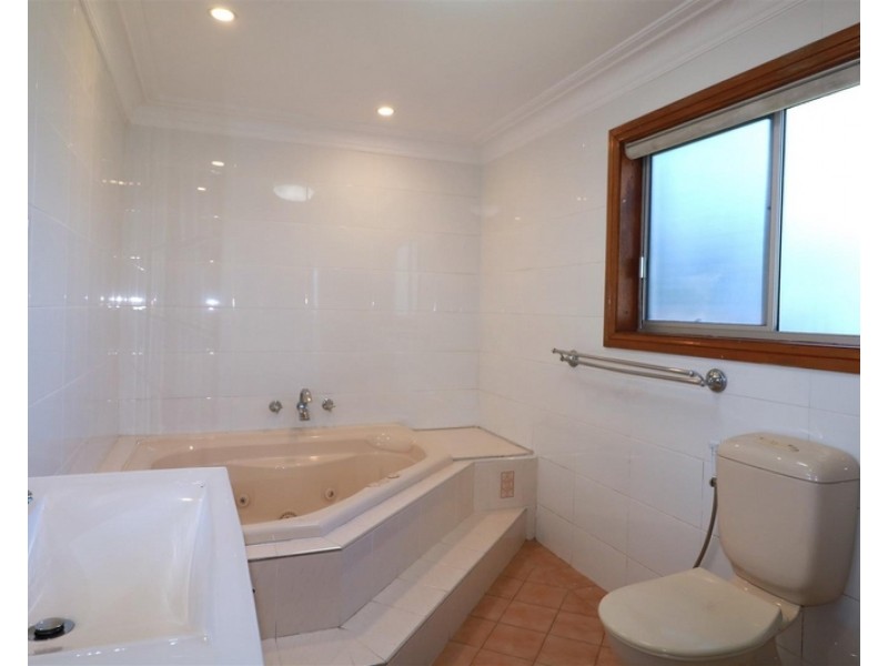 3 Graham Street, Auburn NSW 2144